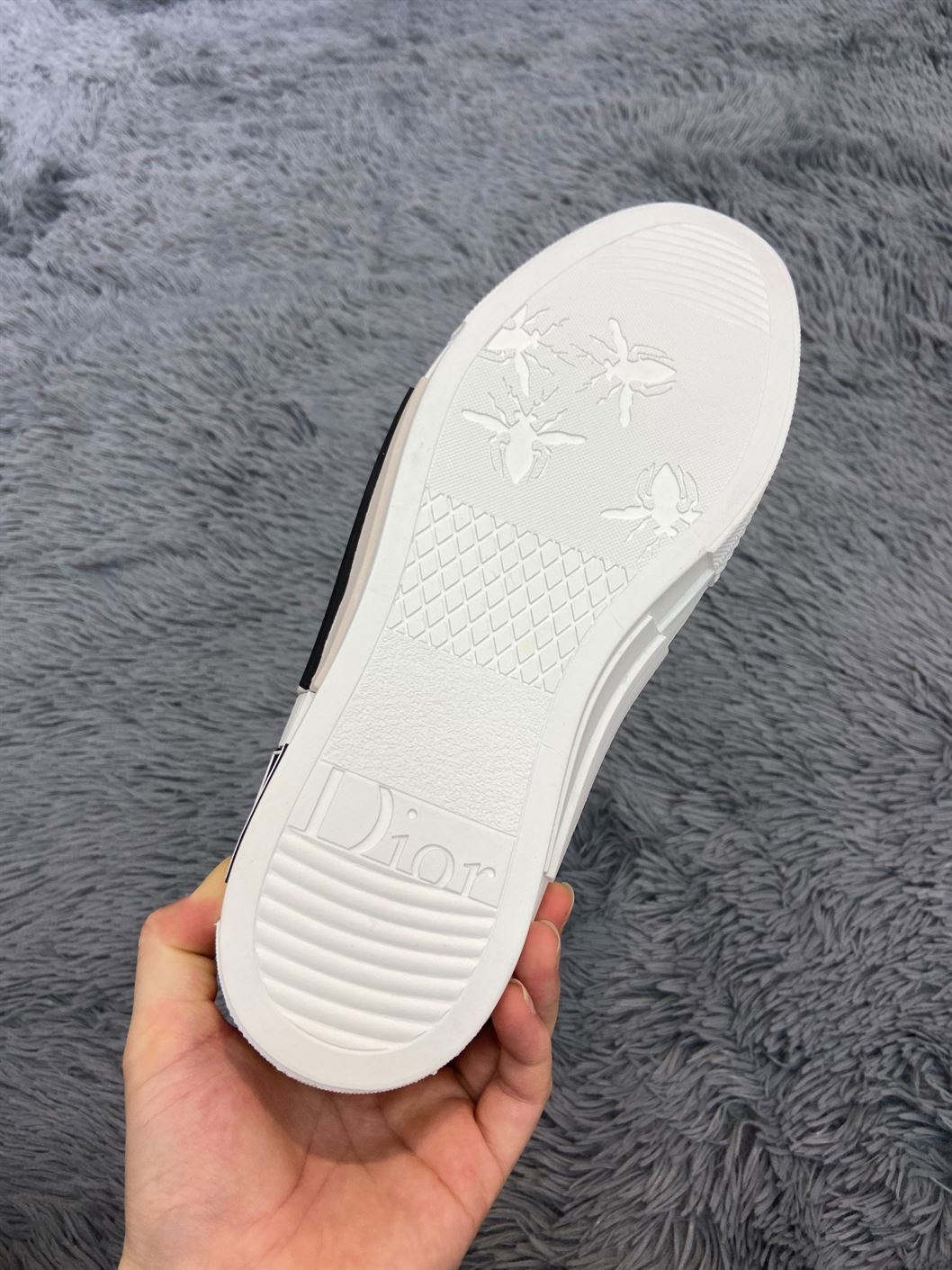 B23 LOW-TOP SNEAKER D10r OBLIQUE CANVAS   DO060