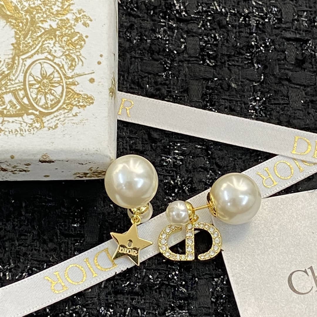 Fake Chr1st1an D10r Logo Earring