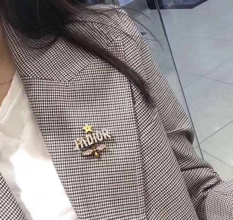 Fake Chr1st1an D10r Logo Brooch