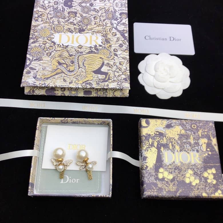 Fake Chr1st1an D10r Logo Earring