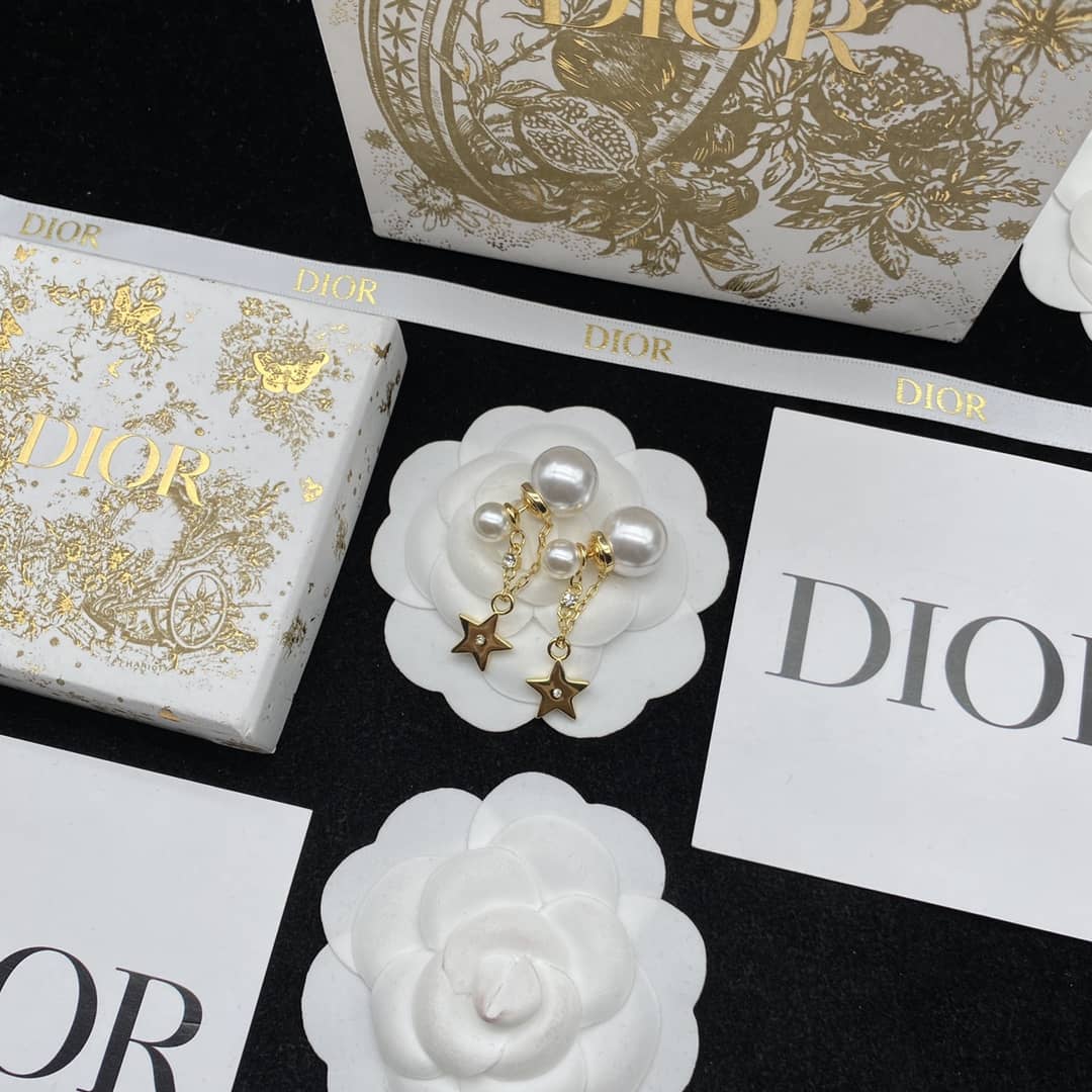 Fake Chr1st1an D10r Logo Earring