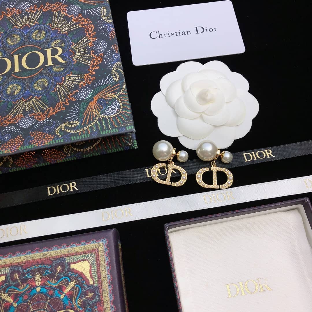 Chr1st1an D10r Earring Copy