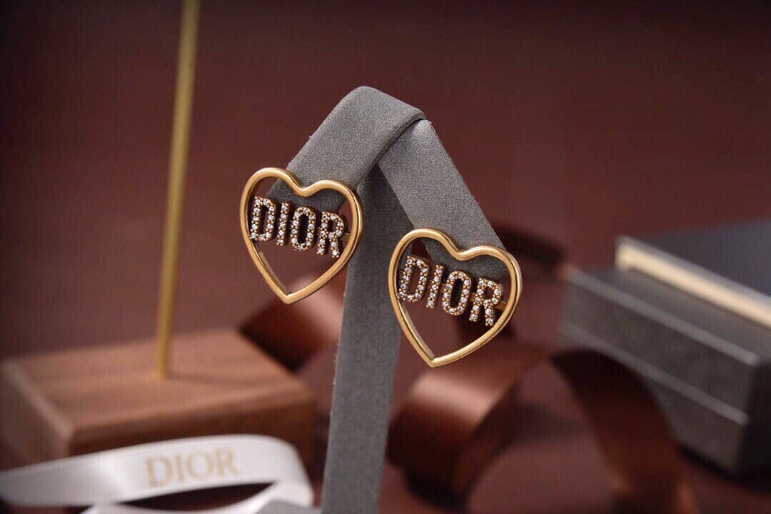 Fake Chr1st1an D10r Logo Earring