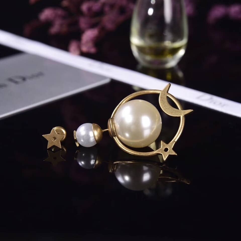 Chr1st1an D10r Earring Copy