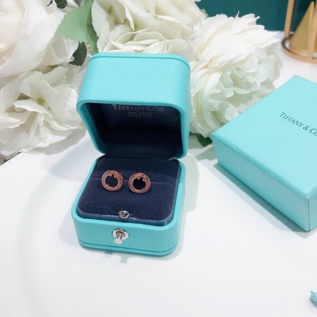 Luxury T*f*ny Classic AAA+ Earring