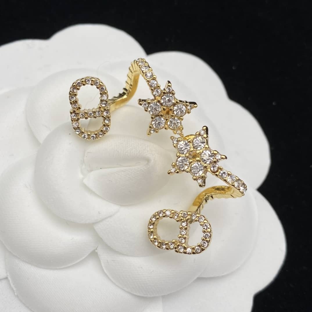 Fake Chr1st1an D10r Logo Earring