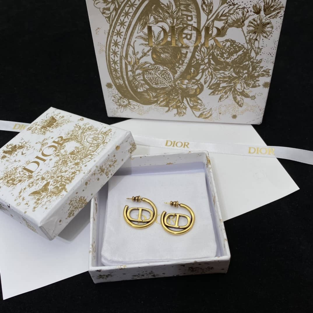 Chr1st1an D10r Earring Copy