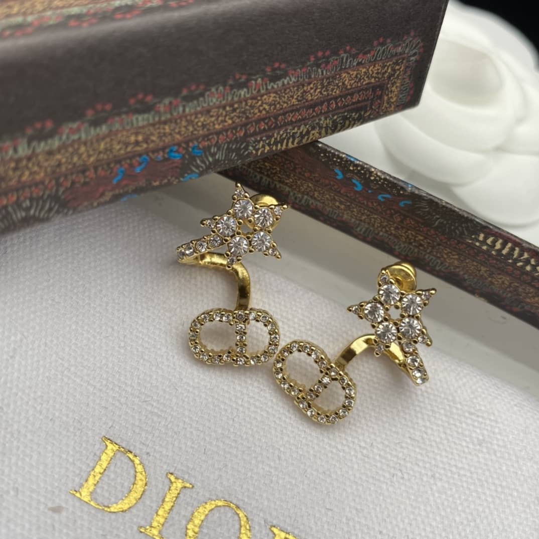 Fake Chr1st1an D10r Logo Earring