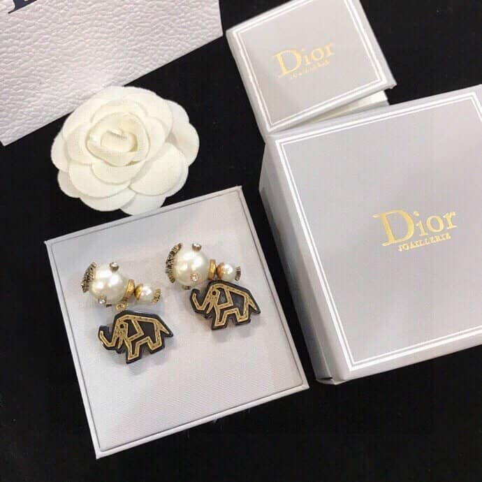 Luxury Chr1st1an D10r Classic AAA+ Earring
