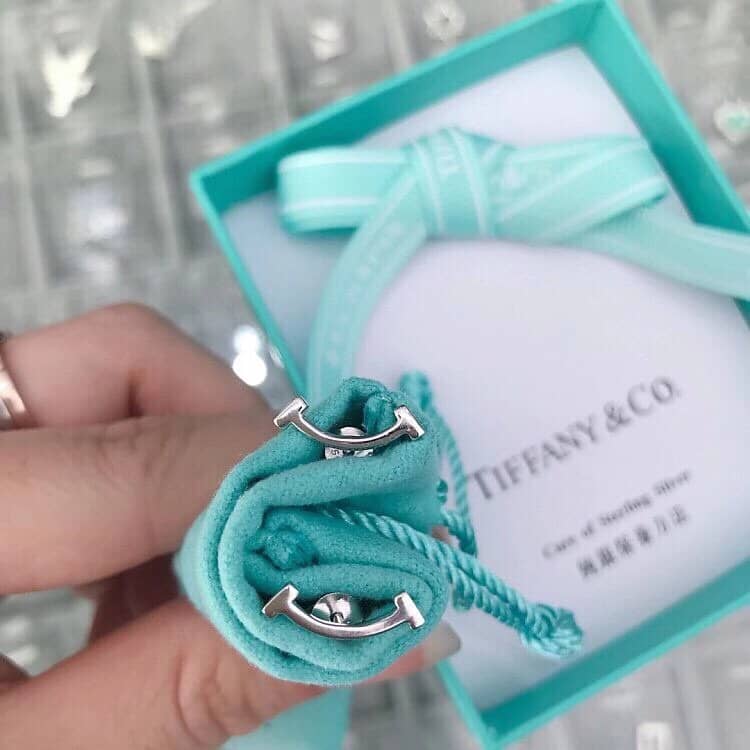 Luxury T*f*ny Classic AAA+ Earring