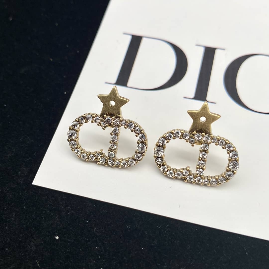 Fake Chr1st1an D10r Logo Earring