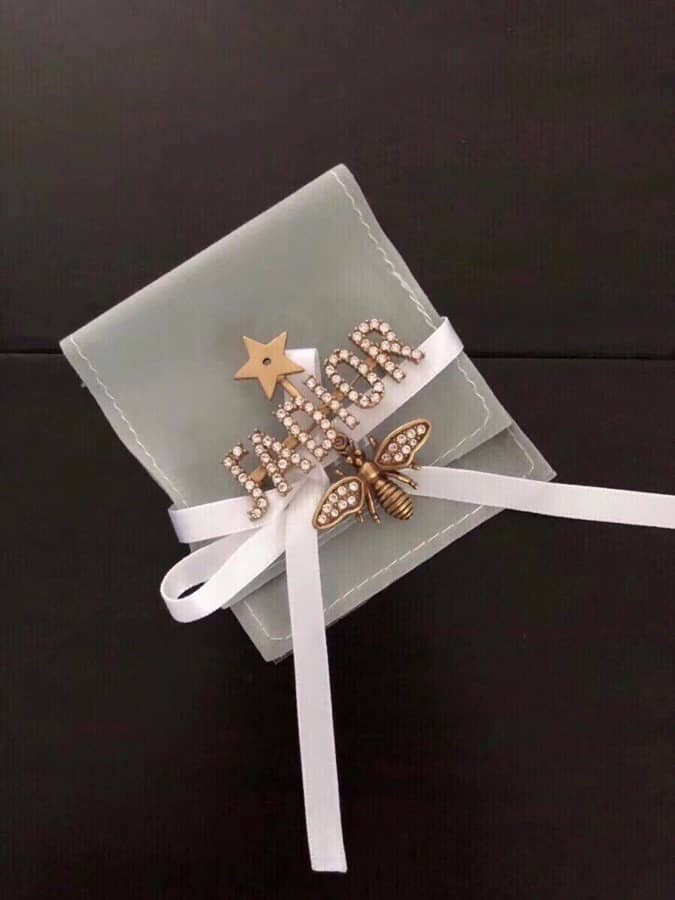 Fake Chr1st1an D10r Logo Brooch