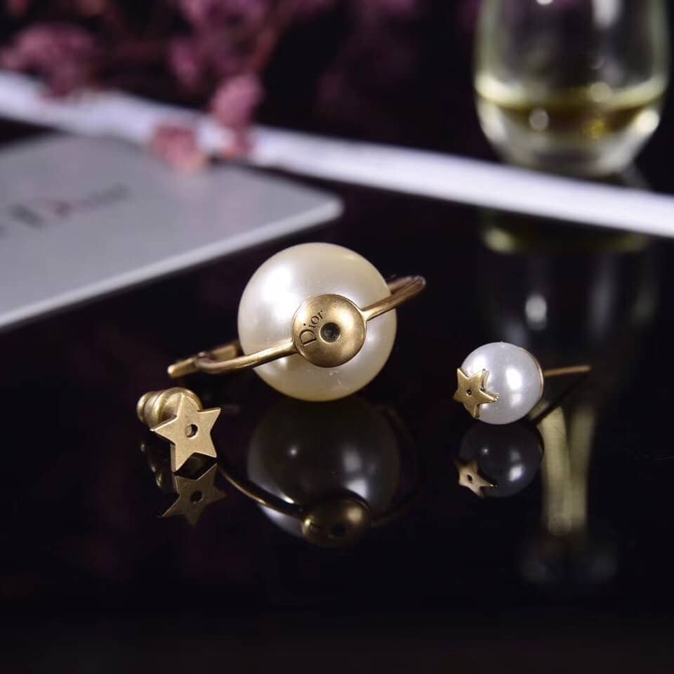 Chr1st1an D10r Earring Copy