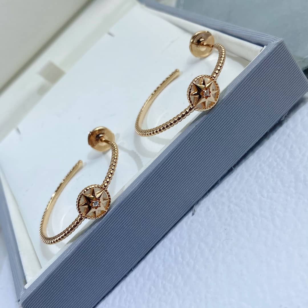 Wholesale Chr1st1an D10r AAA+ Earring