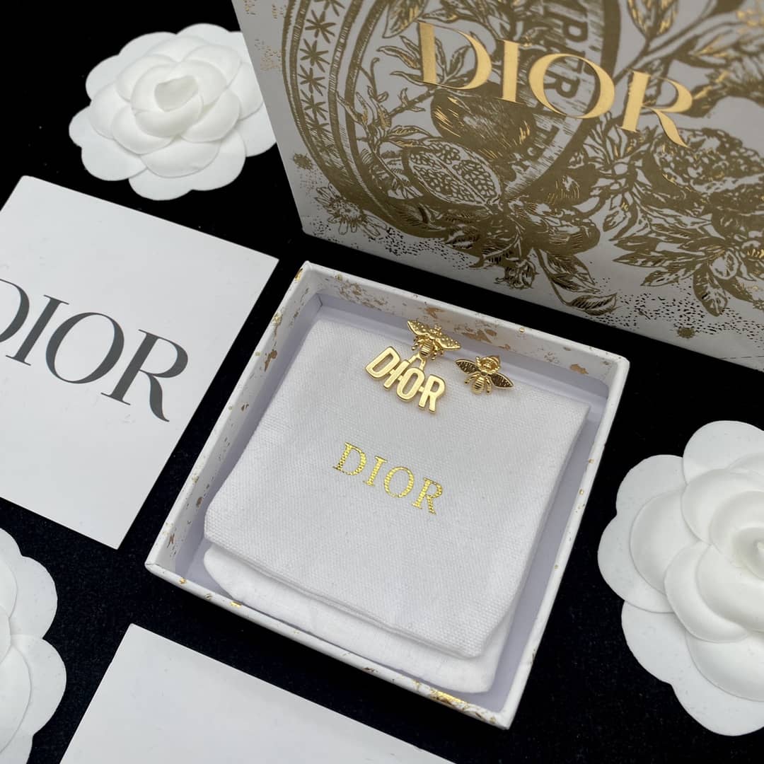 Fake Chr1st1an D10r Logo Earring