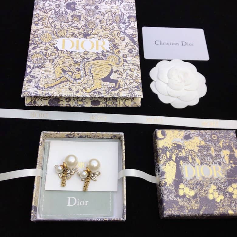 Fake Chr1st1an D10r Logo Earring