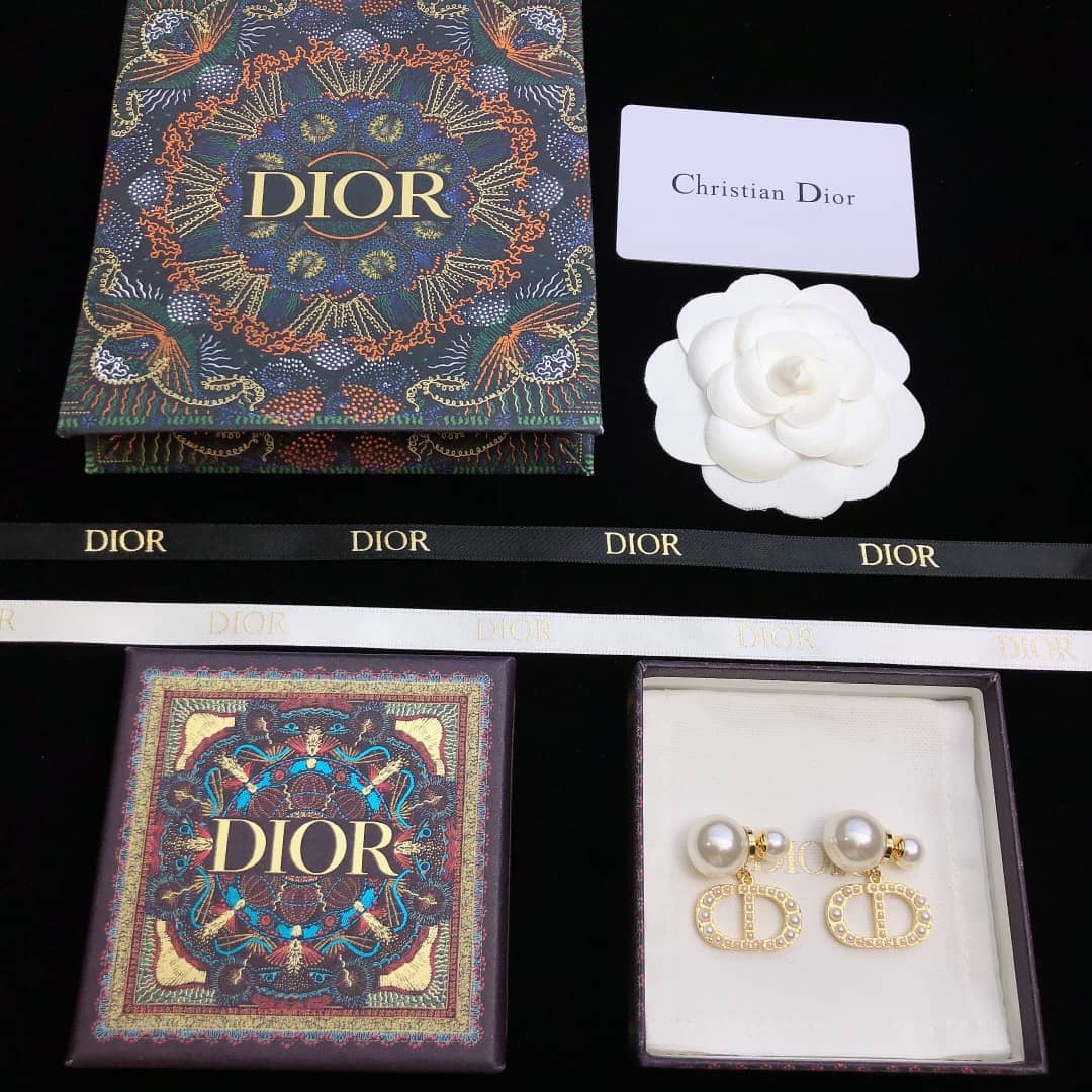 Chr1st1an D10r Earring Copy