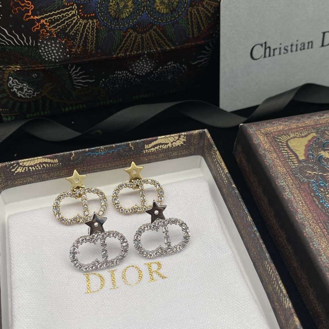 Fake Chr1st1an D10r Logo Earring