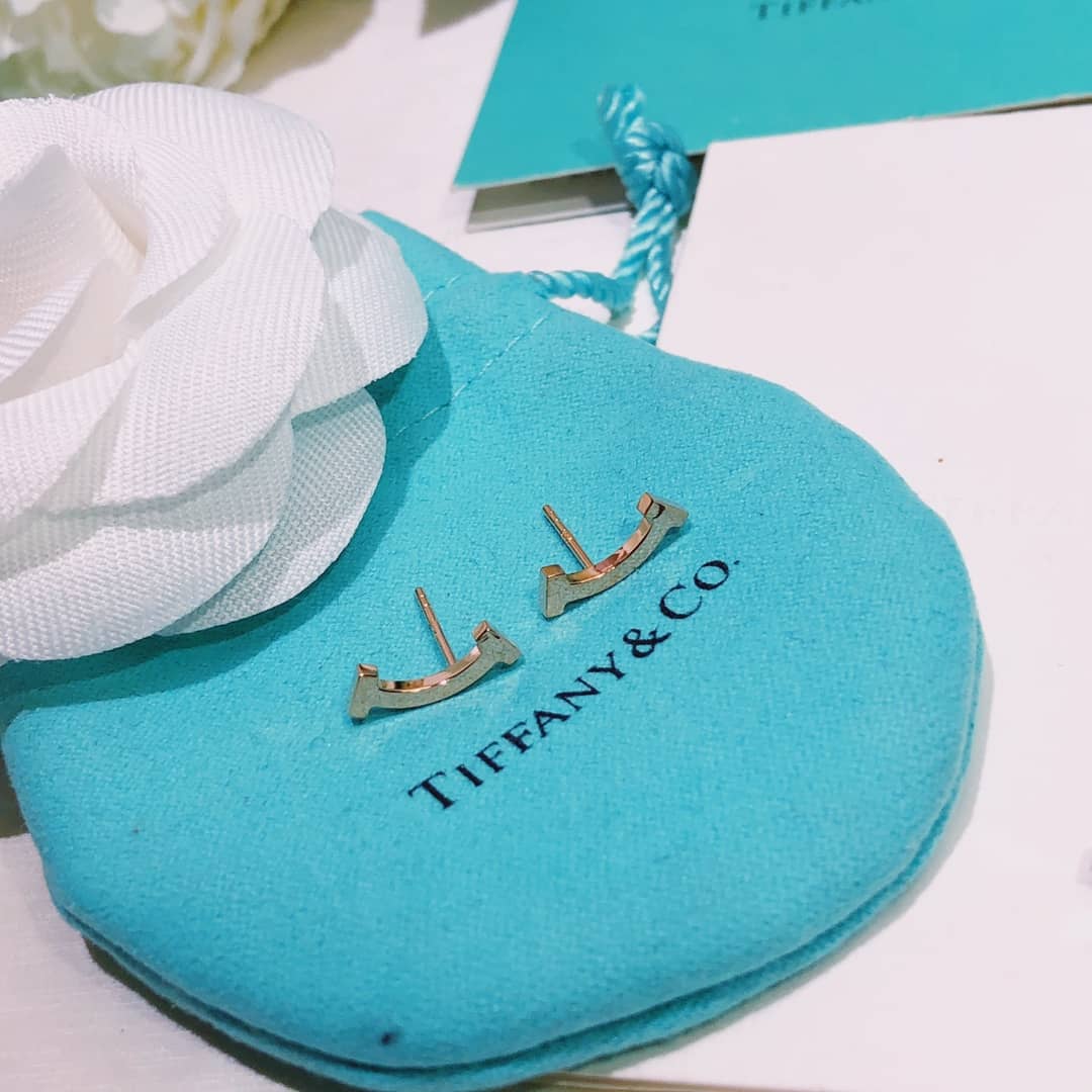 Fake T*f*ny Logo Earring