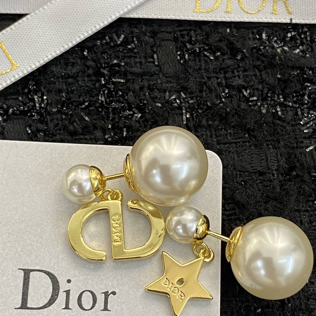 Fake Chr1st1an D10r Logo Earring