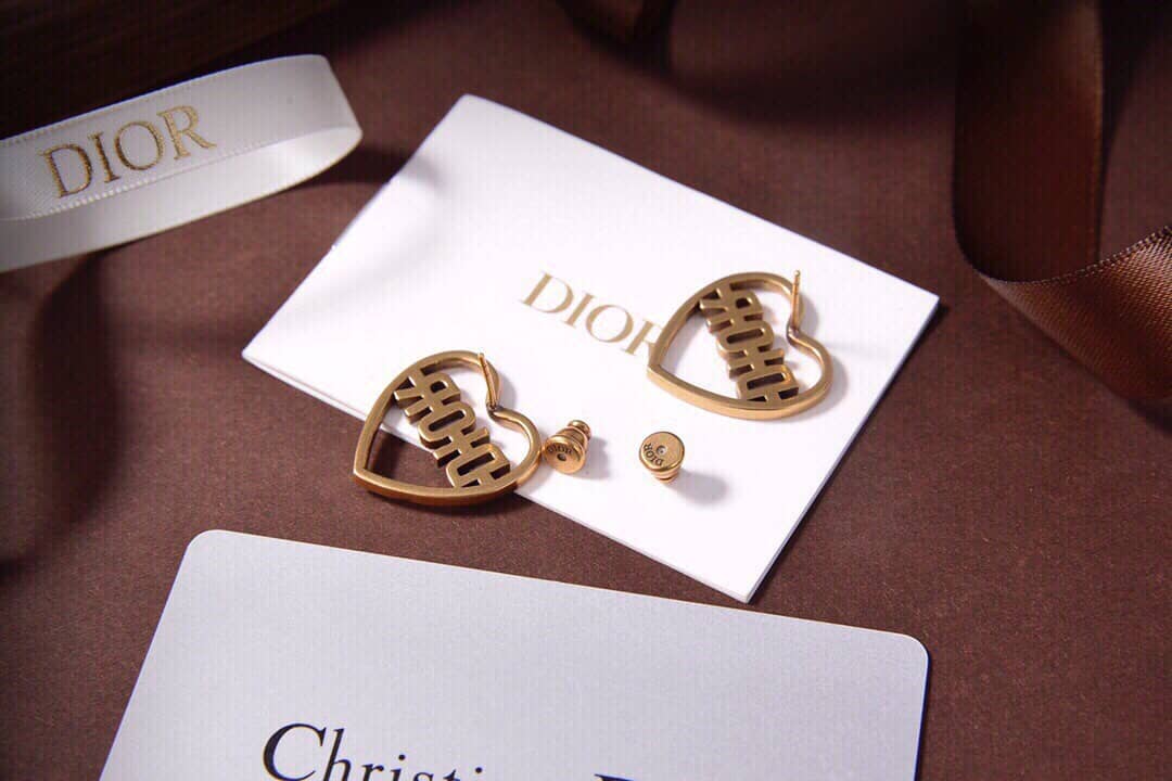 Fake Chr1st1an D10r Logo Earring