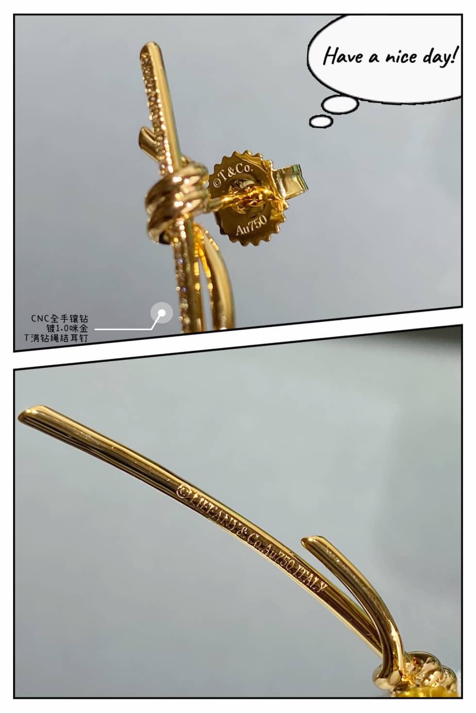 Designer T*f*ny Classic Earring