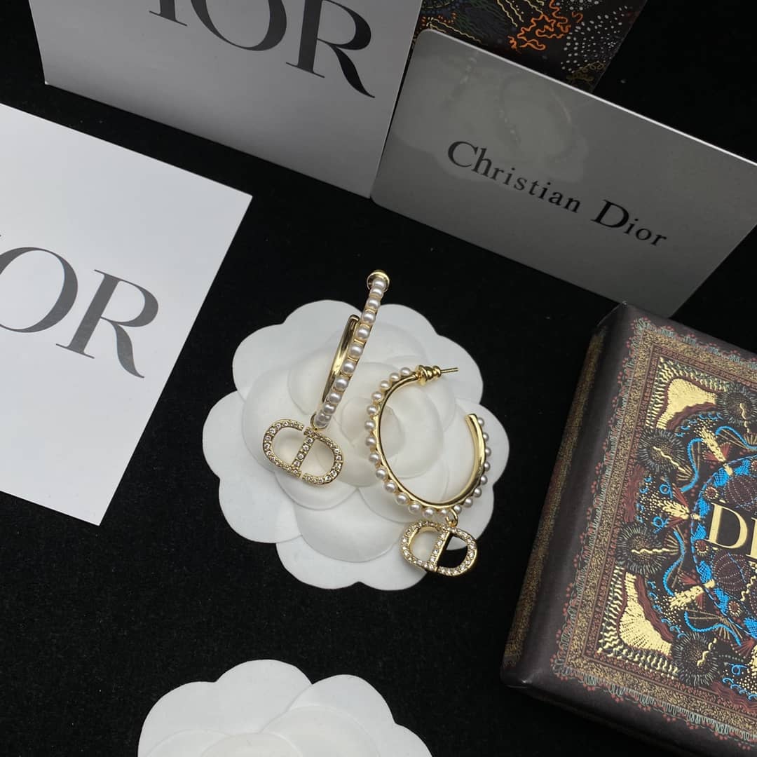 Fake Chr1st1an D10r Logo Earring