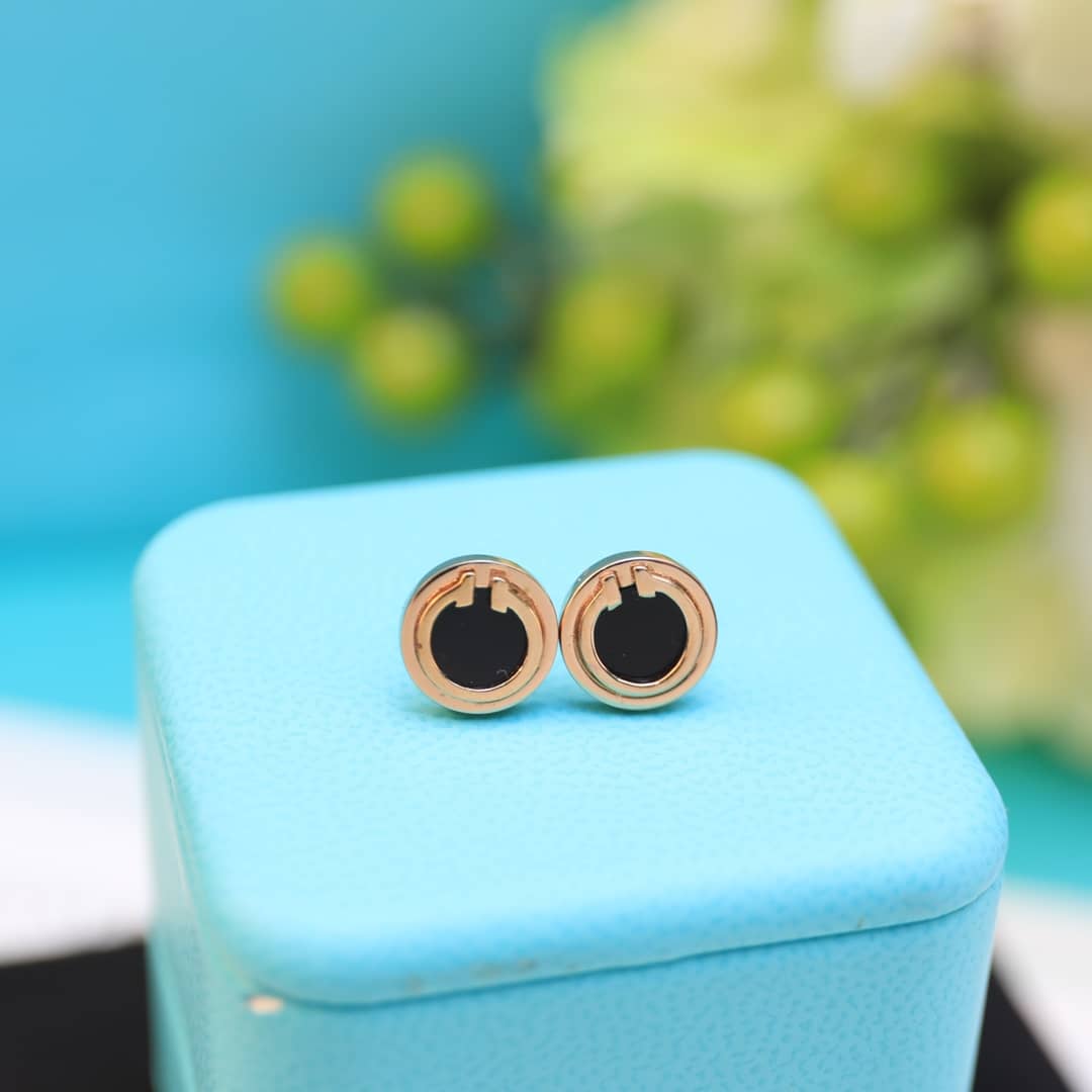 Luxury T*f*ny Classic AAA+ Earring