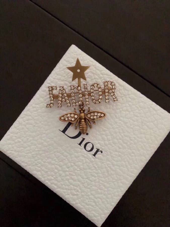 Fake Chr1st1an D10r Logo Brooch