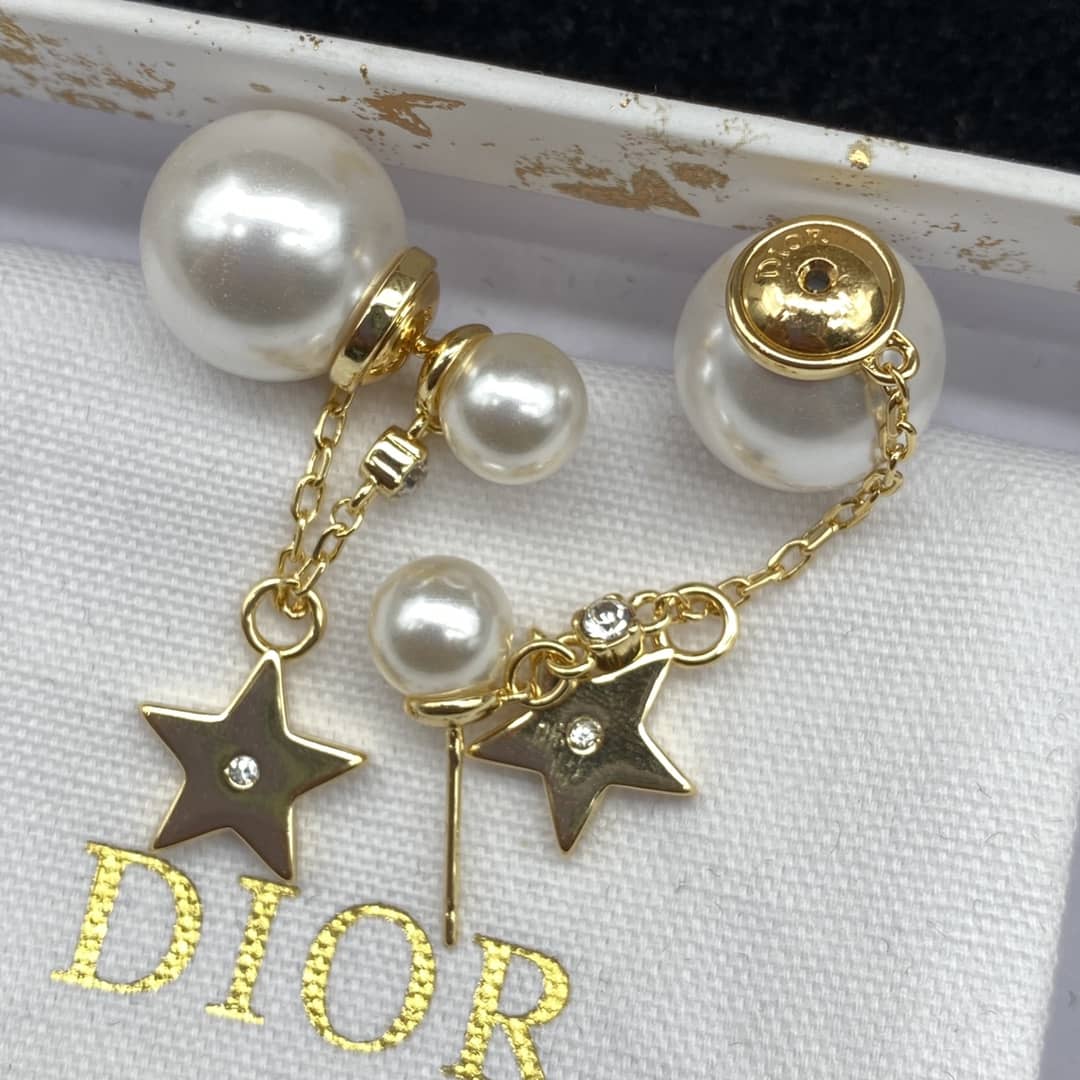 Fake Chr1st1an D10r Logo Earring