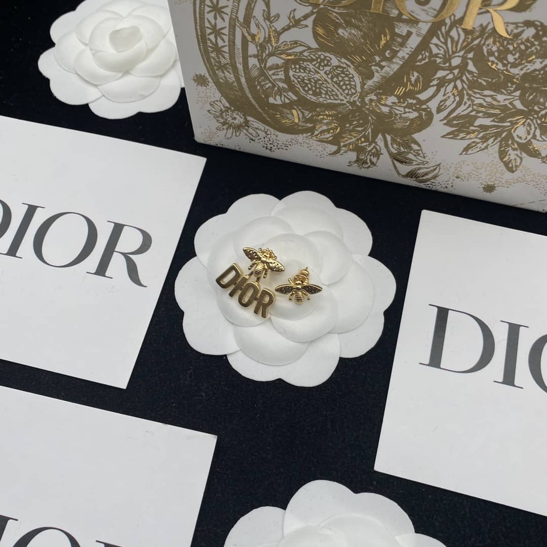 Fake Chr1st1an D10r Logo Earring