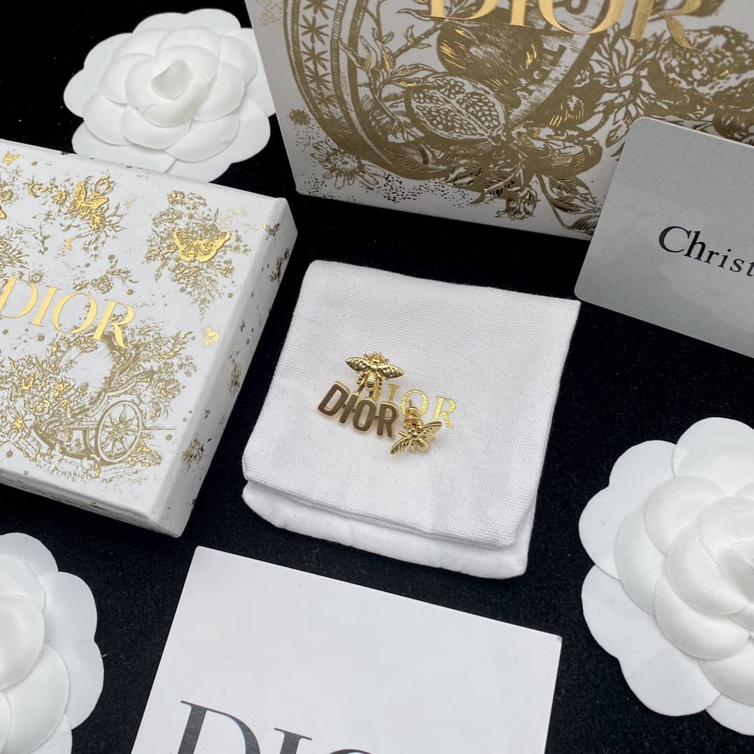 Fake Chr1st1an D10r Logo Earring