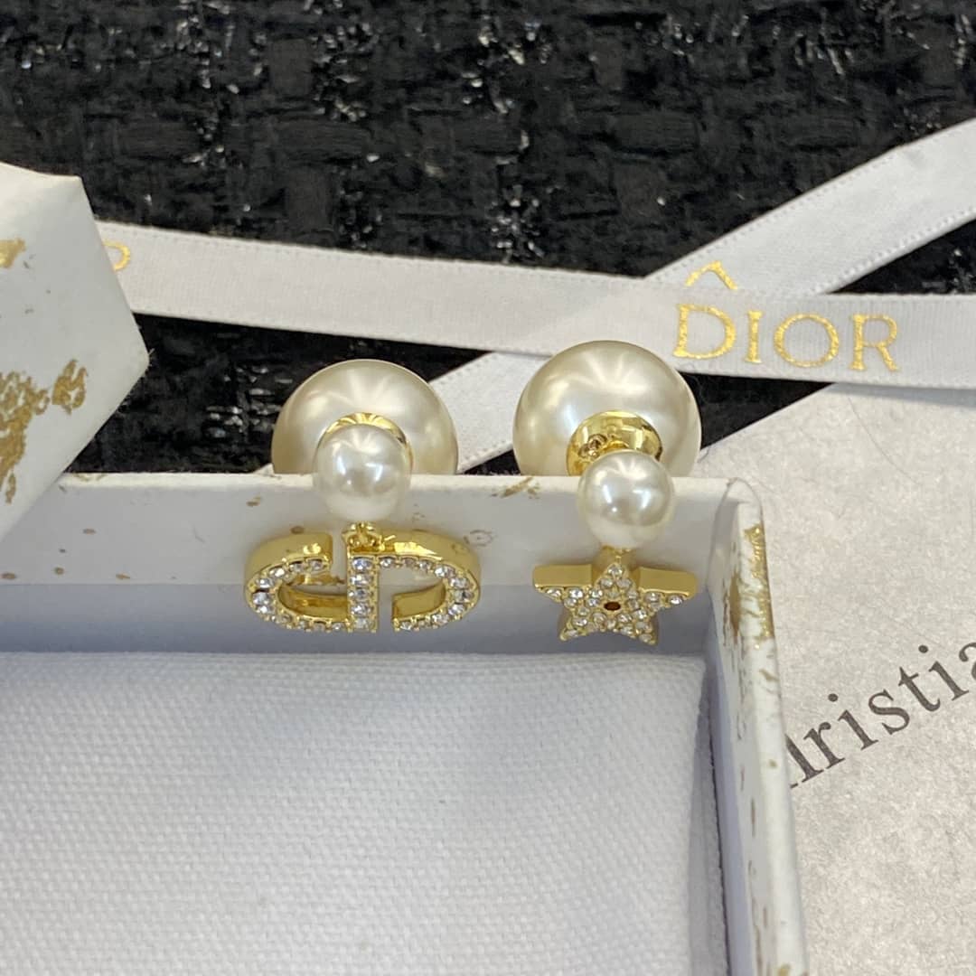 Fake Chr1st1an D10r Logo Earring