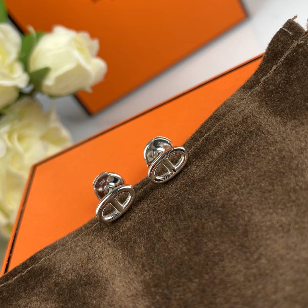 Luxury H**me5 Classic AAA+ Earring