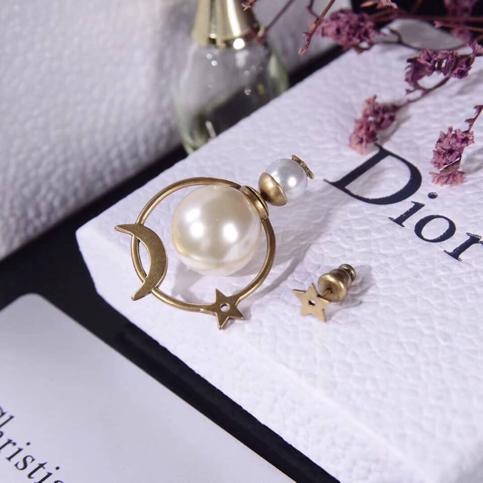 Chr1st1an D10r Earring Copy