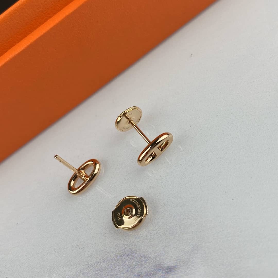 Luxury H**me5 Classic AAA+ Earring