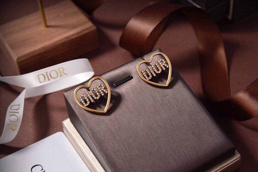 Fake Chr1st1an D10r Logo Earring