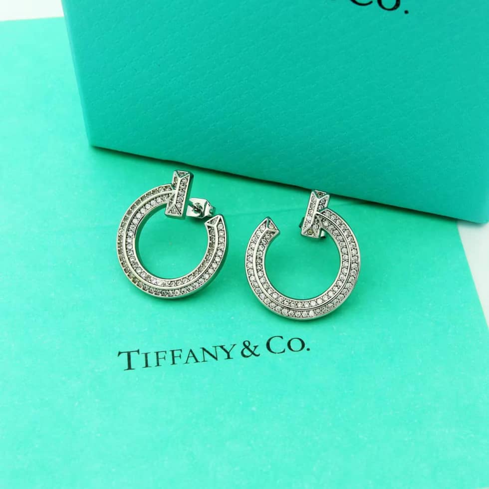 Luxury T*f*ny Classic AAA+ Earring