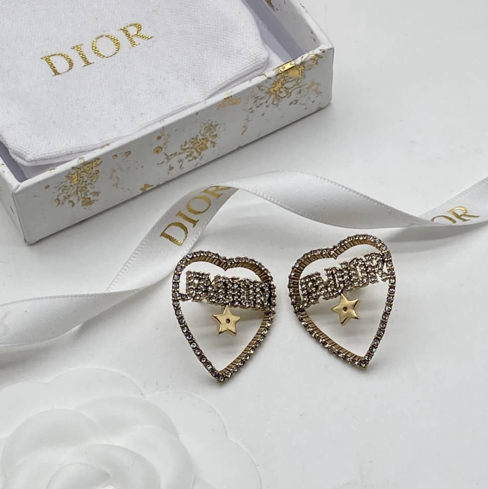 Fake Chr1st1an D10r Logo Earring