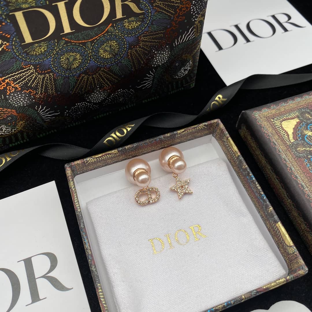 Luxury Chr1st1an D10r Classic AAA+ Earring