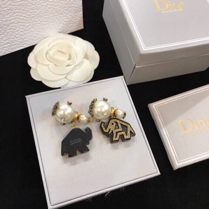 Luxury Chr1st1an D10r Classic AAA+ Earring