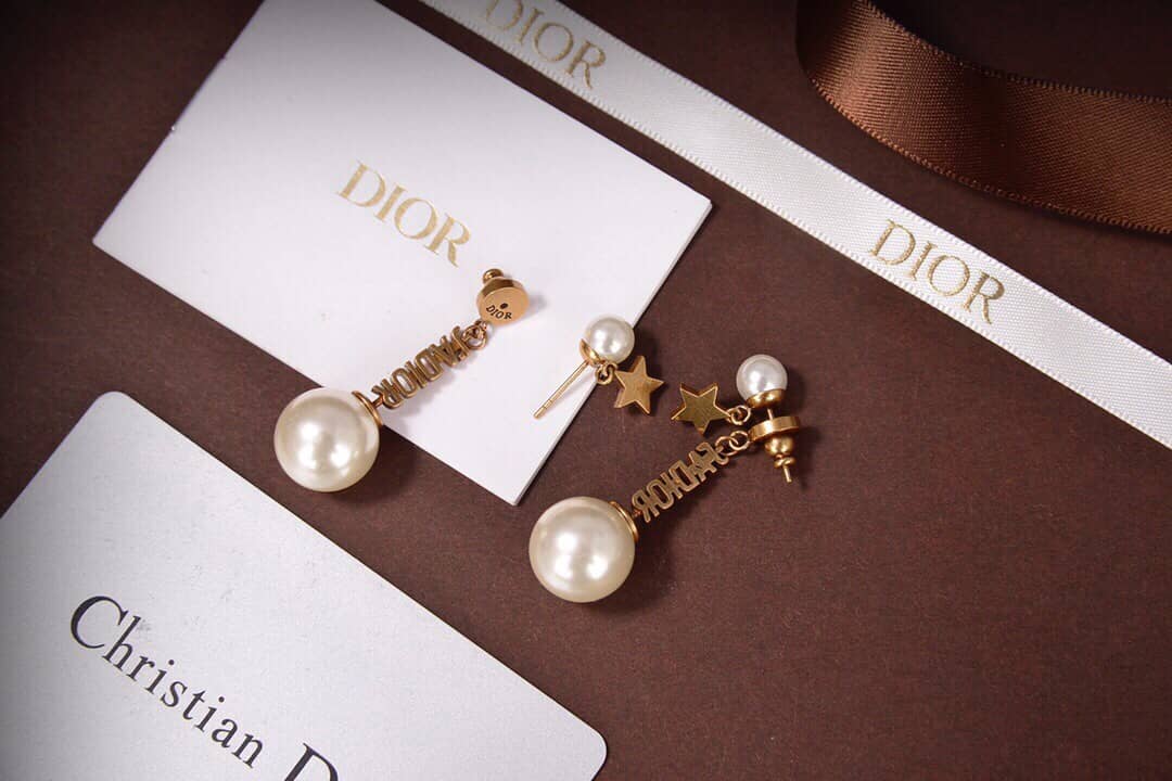 Chr1st1an D10r Earring Copy