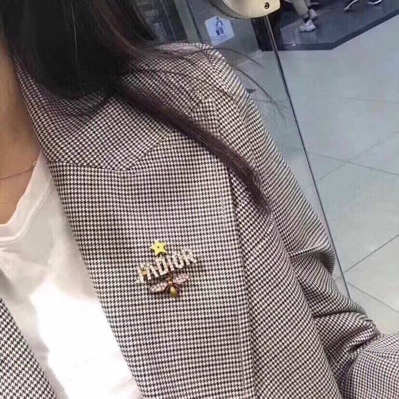 Fake Chr1st1an D10r Logo Brooch
