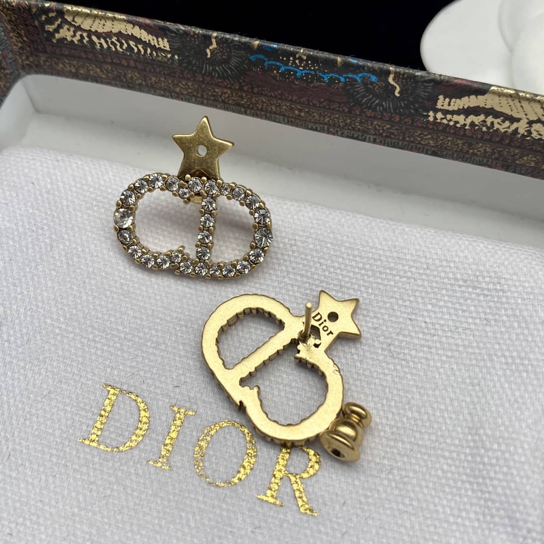 Fake Chr1st1an D10r Logo Earring