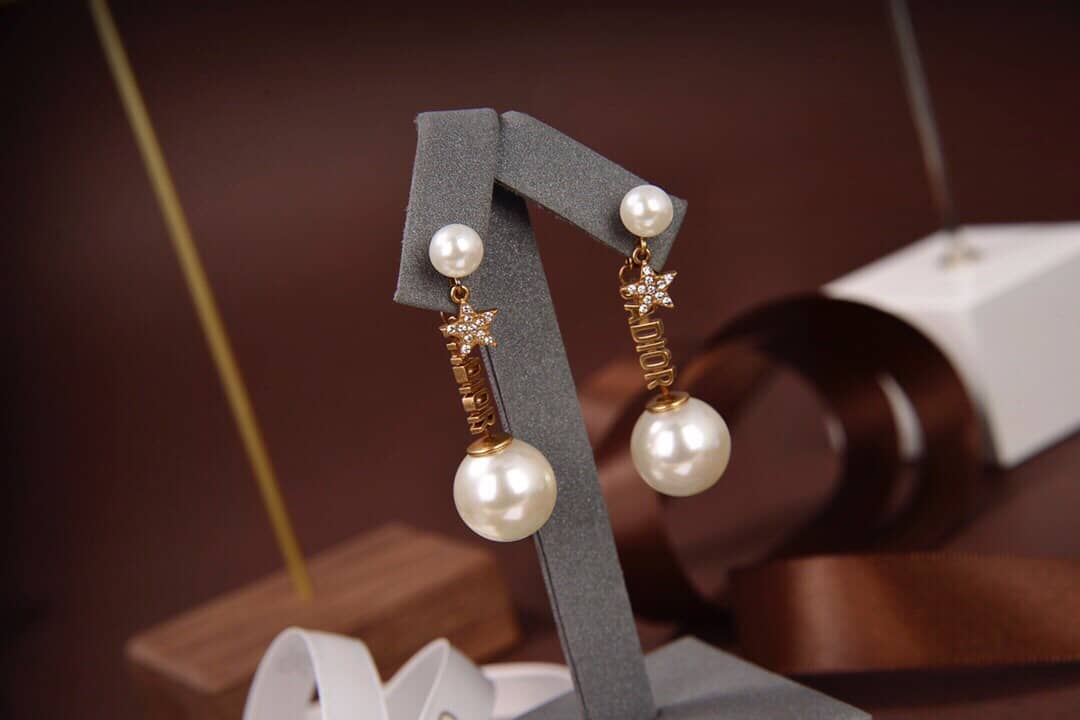 Chr1st1an D10r Earring Copy