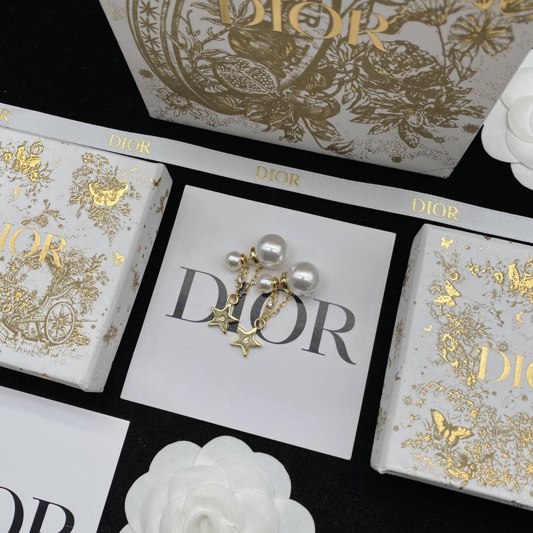 Fake Chr1st1an D10r Logo Earring