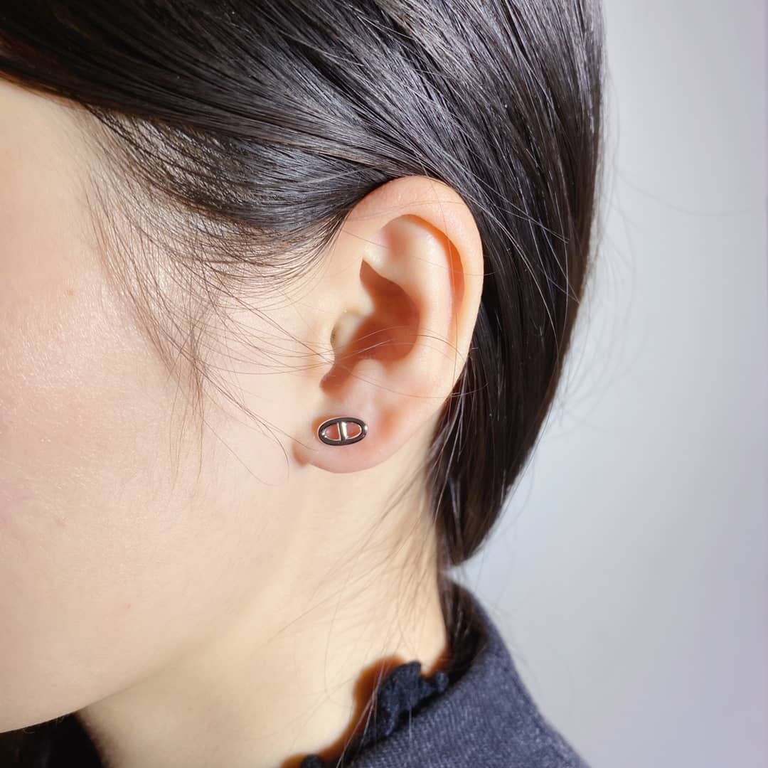 Luxury H**me5 Classic AAA+ Earring