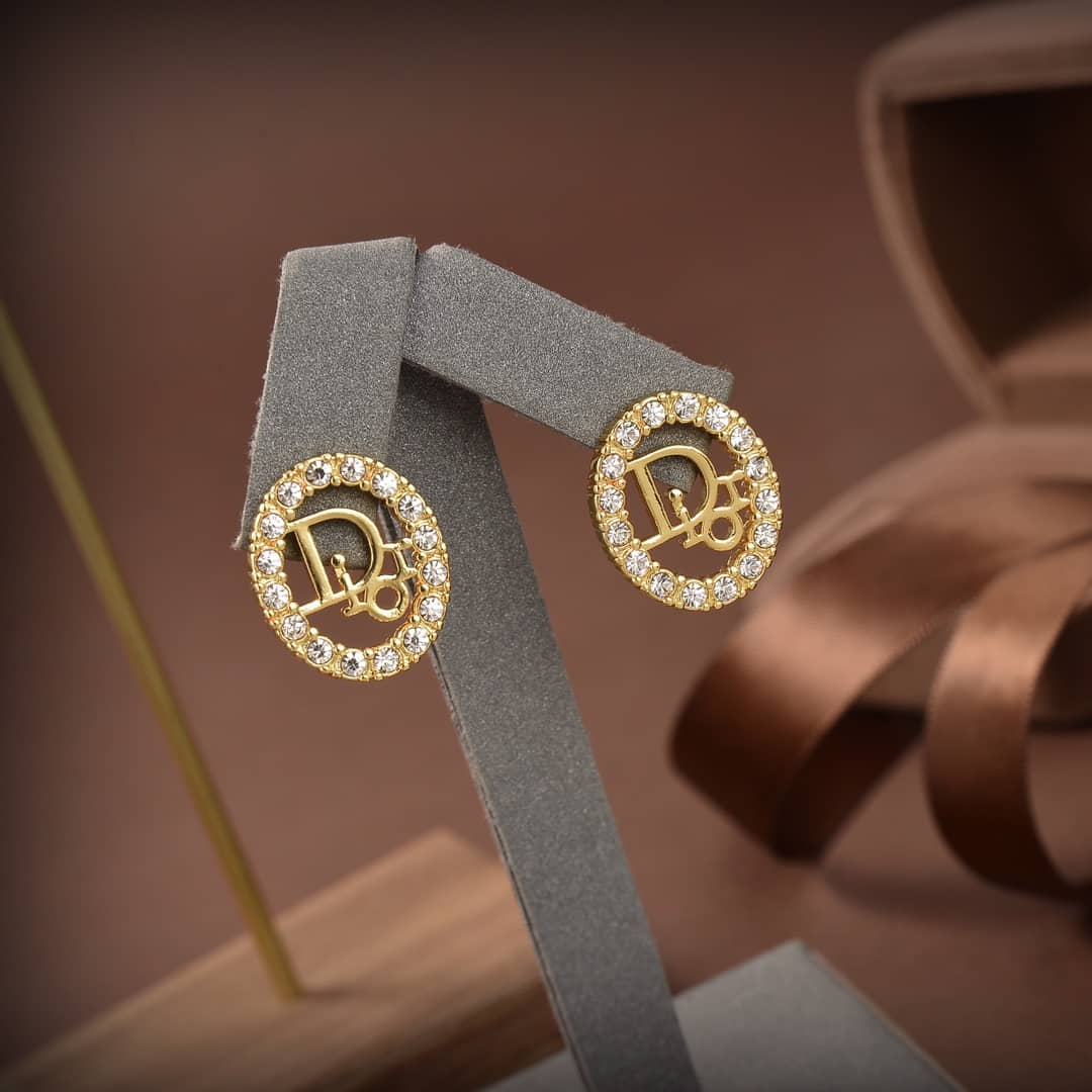 Fake Chr1st1an D10r Logo Earring