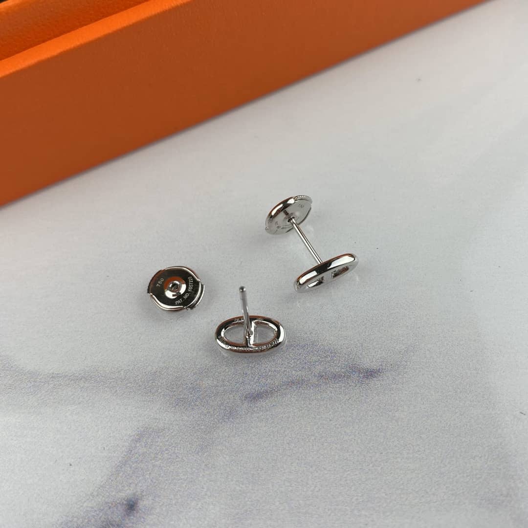 Luxury H**me5 Classic AAA+ Earring