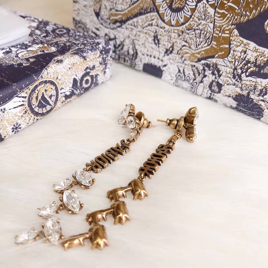 Wholesale Chr1st1an D10r Logo Earring